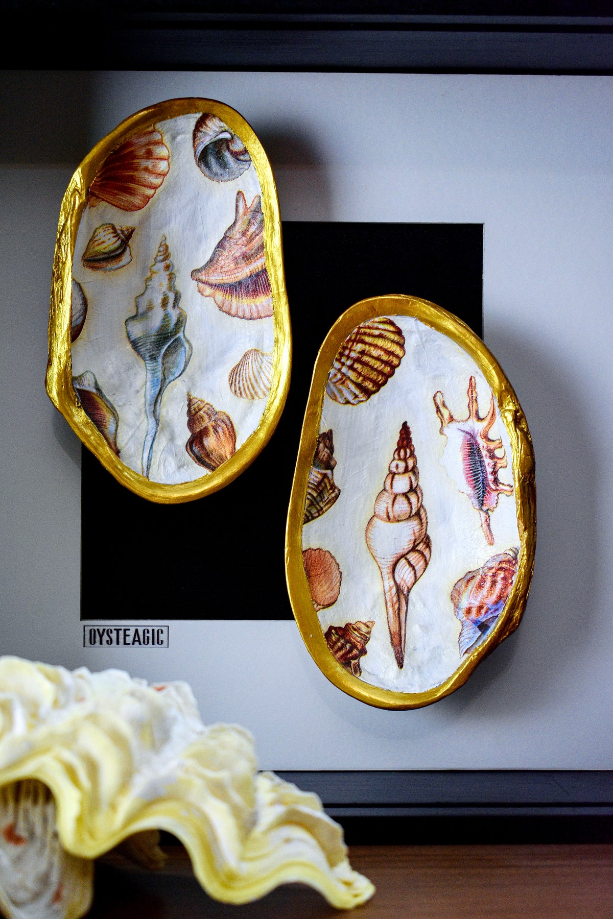 Shell Whispers